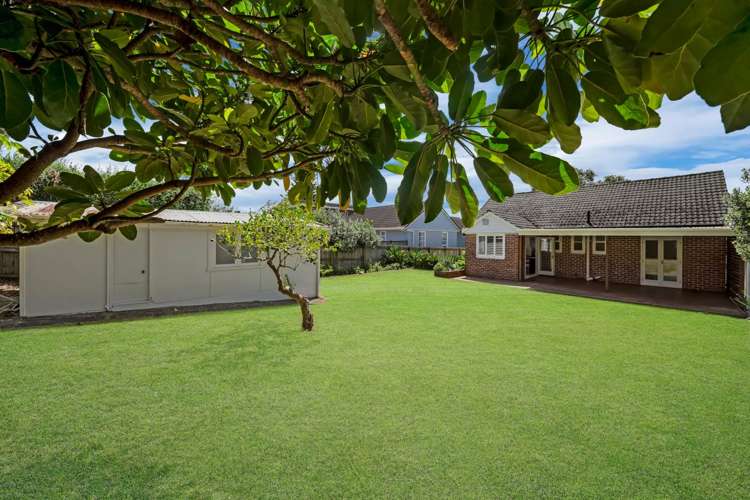 12 Cadman Avenue Greenlane_8