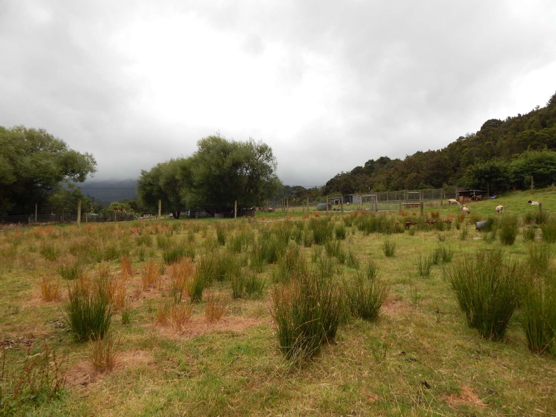 3 Clifford Street Blackball_0