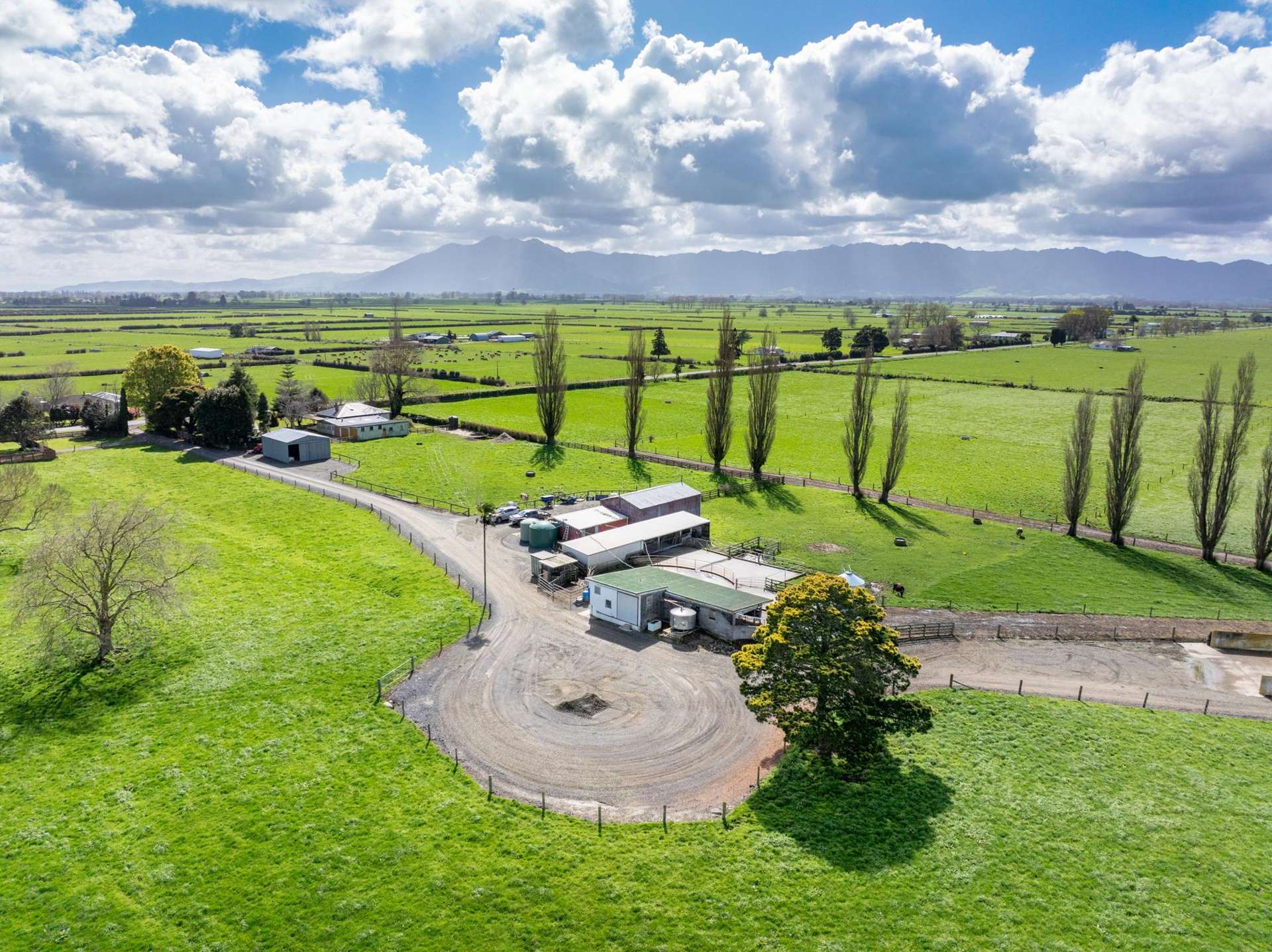 208 Diagonal Road Morrinsville_0