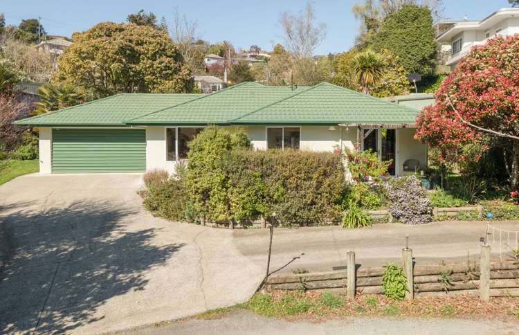 1 Tui Way Toi Toi_24