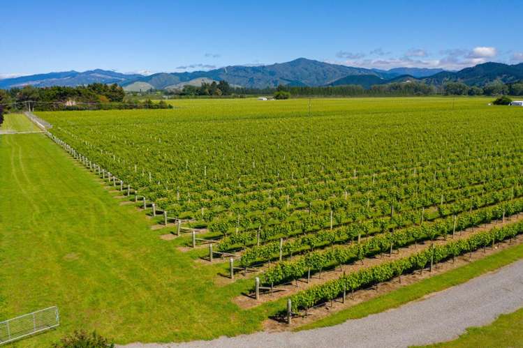 263 Chaytors Road Spring Creek_8