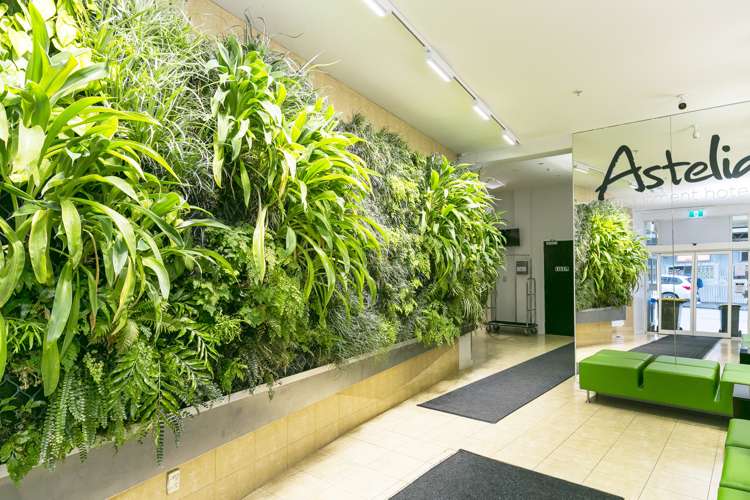 86/156 Willis Street Te Aro_16