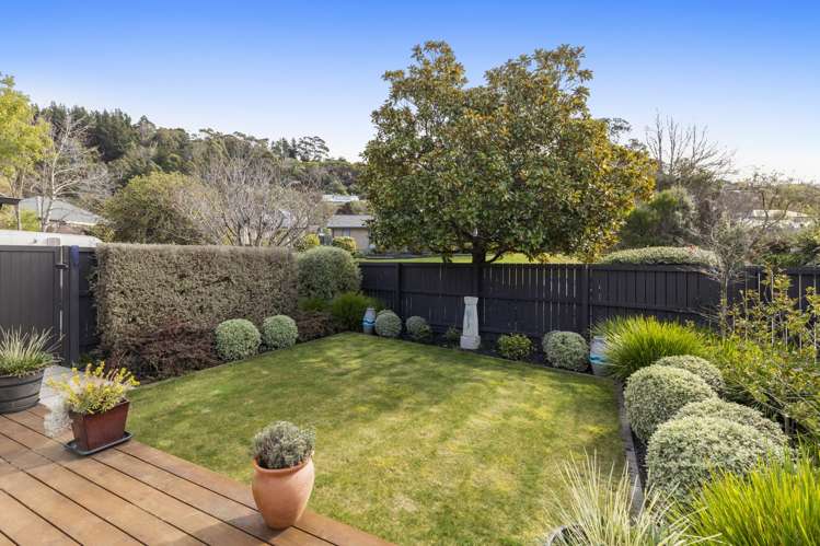 13 Alderson Avenue_2