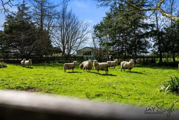 159 Tourist Road Clevedon_19