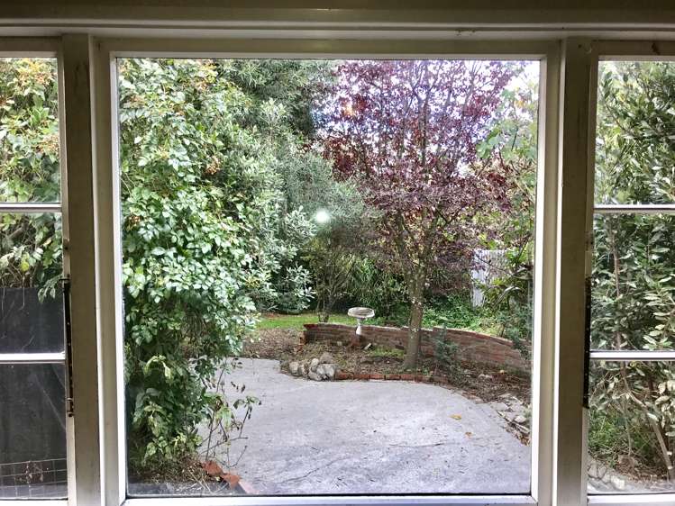 21 Rangiora Avenue Roslyn_7