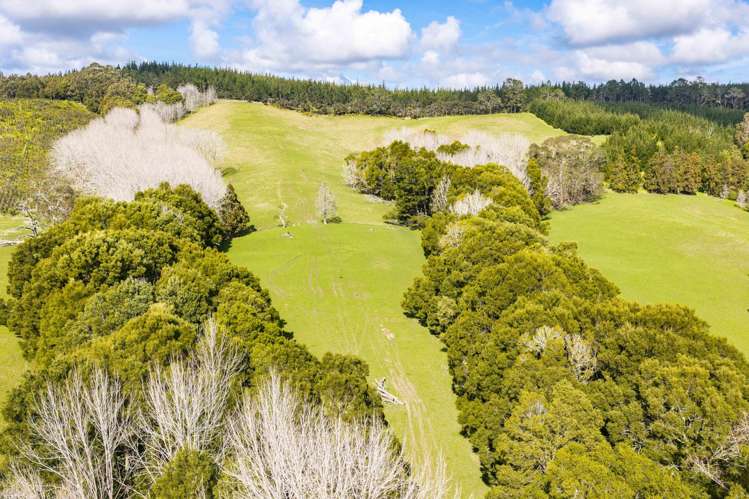 229 Bald Hill Road Waitoki_35