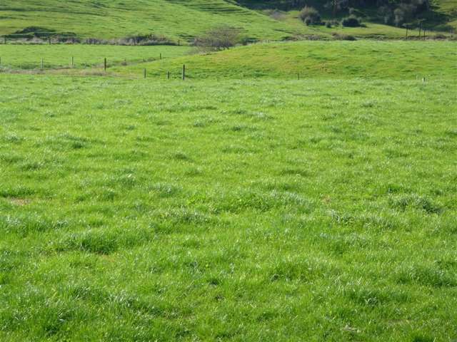 217b Golden Valley Road Waihi_2