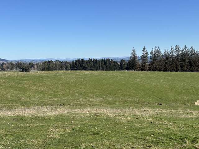 Waihola Highway Waihola_2