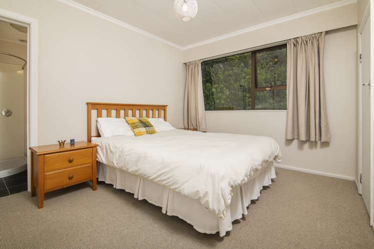 87 Milton Terrace Picton_6