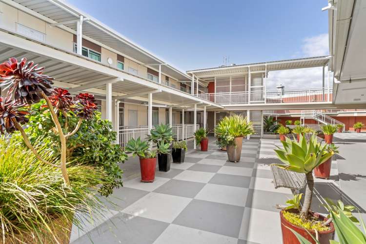 305/332 Maunganui Road Mount Maunganui_19