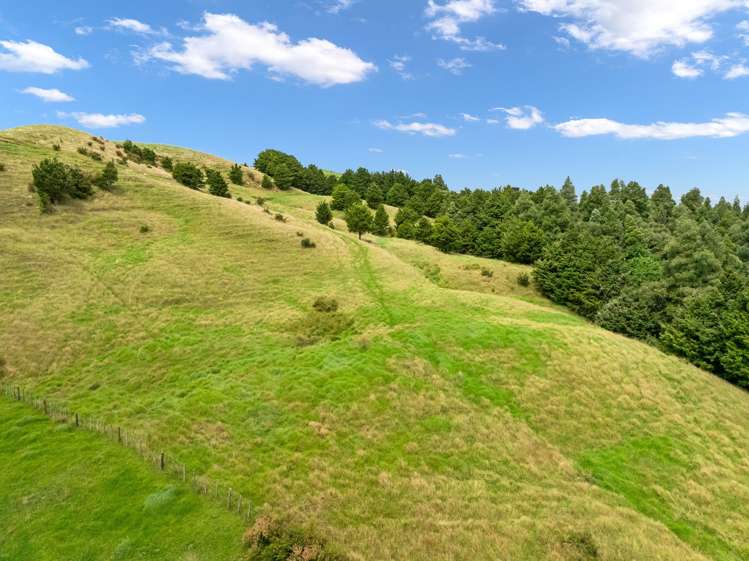 Hayward Road Maungakaramea_9