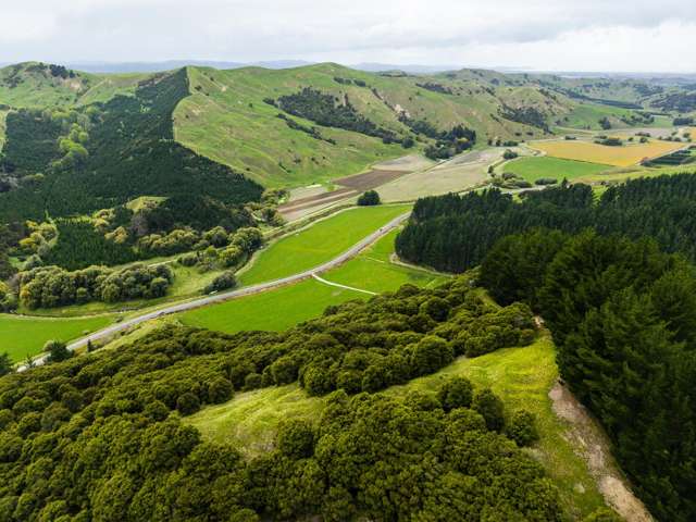 1247 Wharekopae Road Ngatapa_1