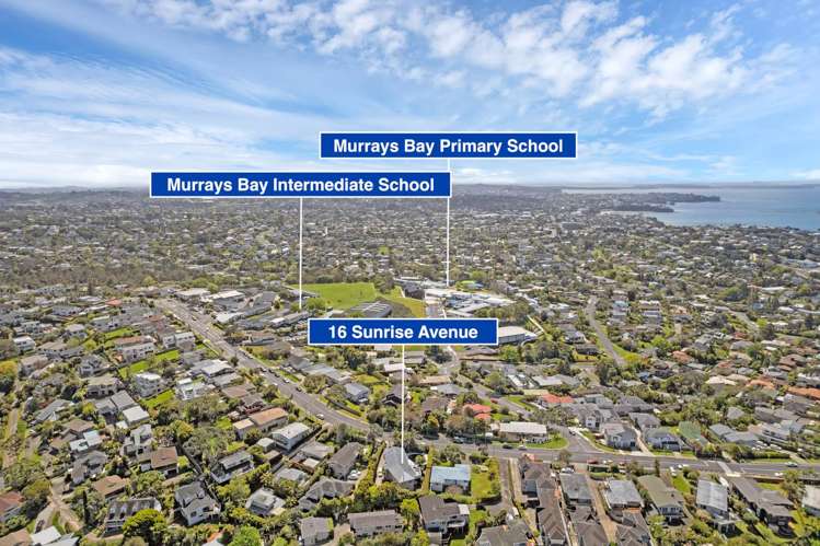 16 Sunrise Avenue Mairangi Bay_35