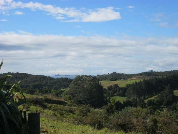 Waiotoi Road Ngunguru_5