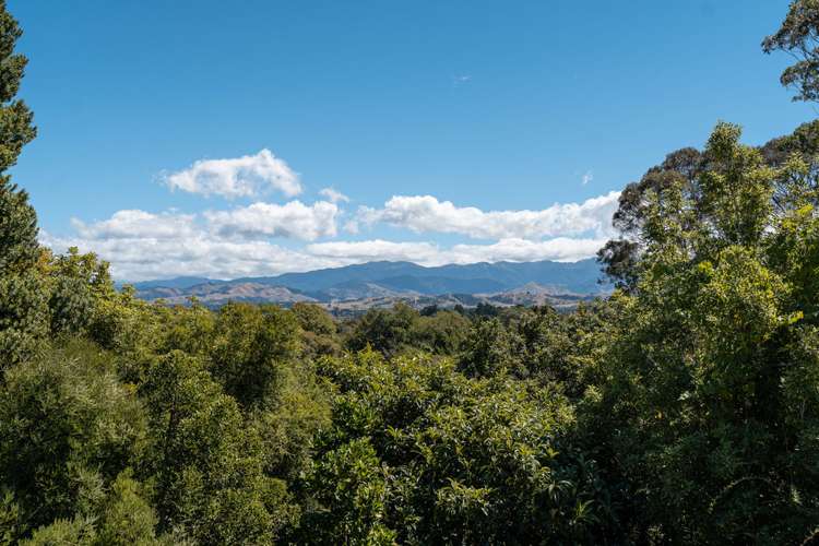 97 Titoki Street Masterton_21