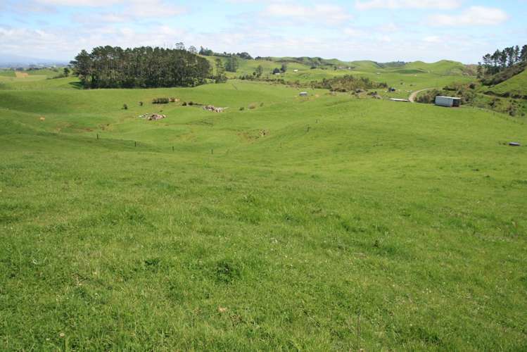 318 Kupara Road Tariki_28