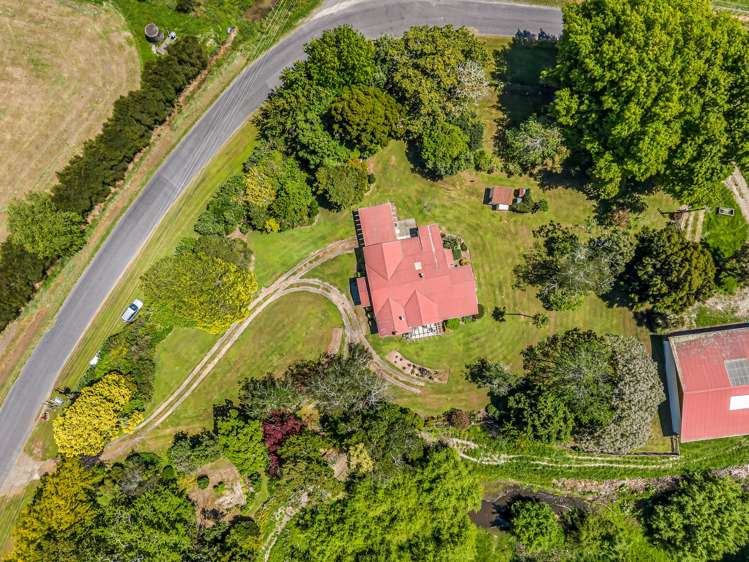 30 Colebrook Road Edgecumbe_33