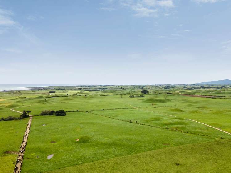 266 Pungarehu Road Pungarehu_6