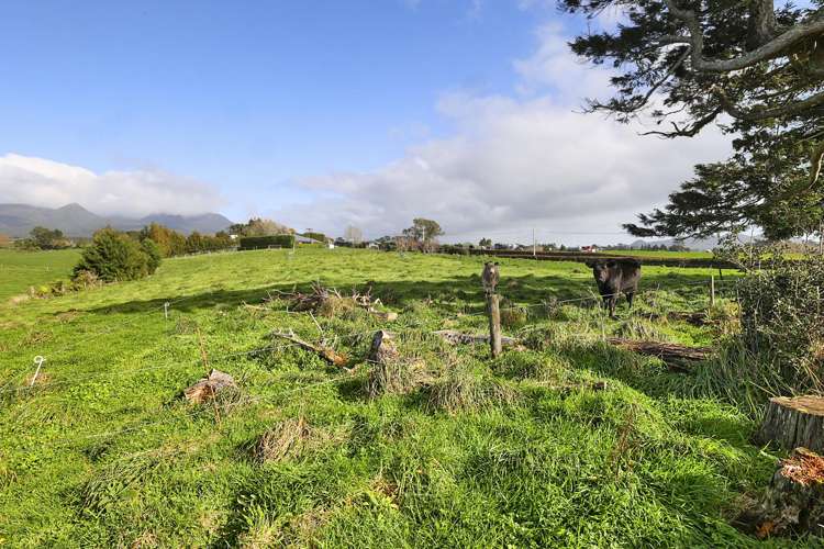 1467 Mangorei Road Mangorei_13