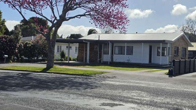 Spacious Family Living in a Prime Hamilton Location