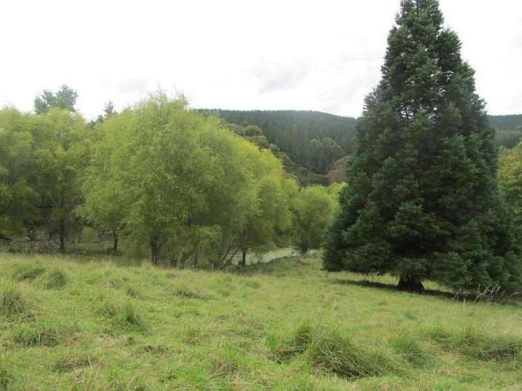 361 Bute Road Mangapakeha_7