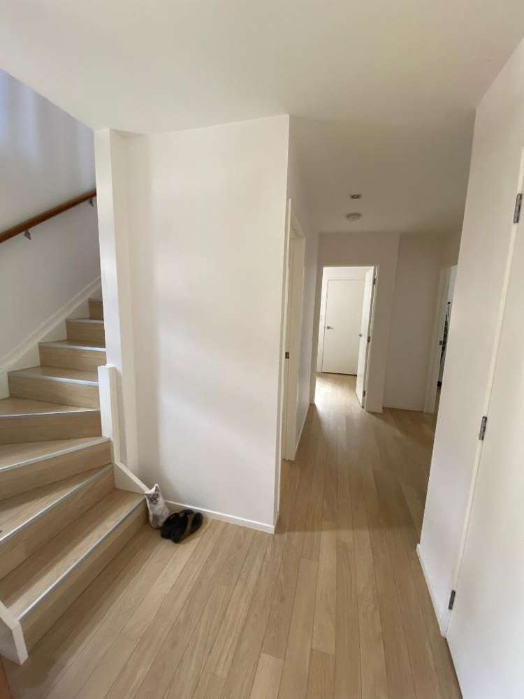 9a Agathis Avenue Mairangi Bay_7