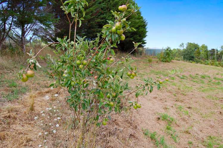 306D Oneriri Road Kaiwaka_20