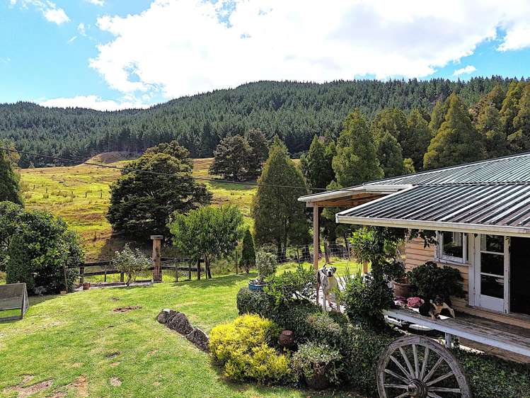 374 Opouteke Road Dargaville_2