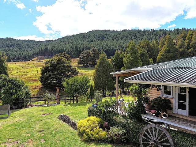 374 Opouteke Road Dargaville_2