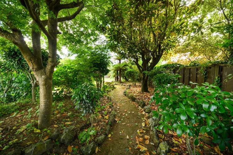 45 Buick Crescent Awapuni_24