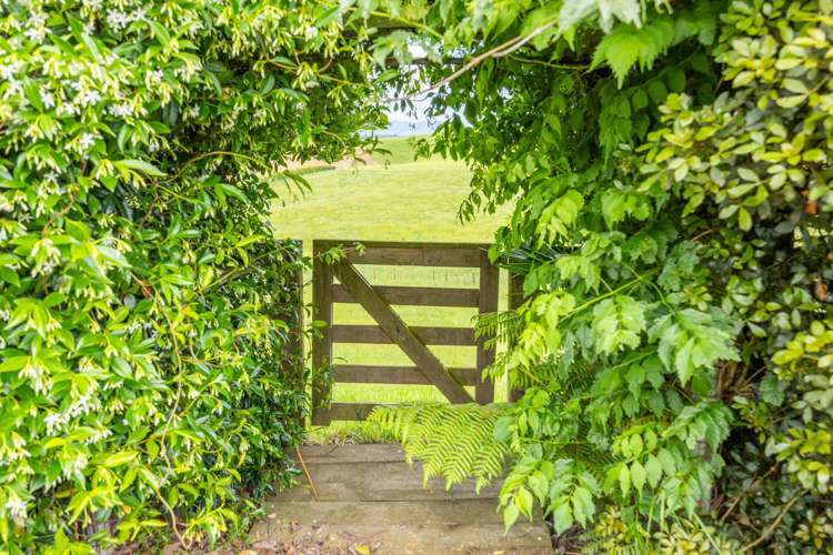 111 Ellis Road Otorohanga_41