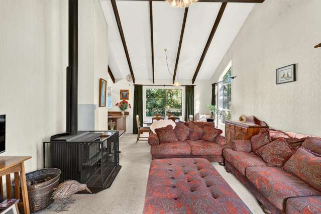 108 Homebush Road Glentunnel_3