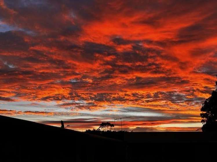 171 Coulson Road Paroa_35