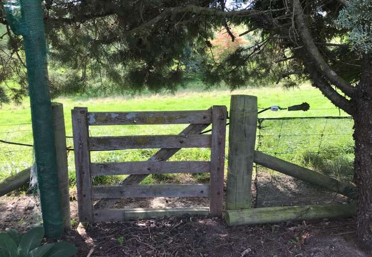 506 Rosebrook Road Claremont_8