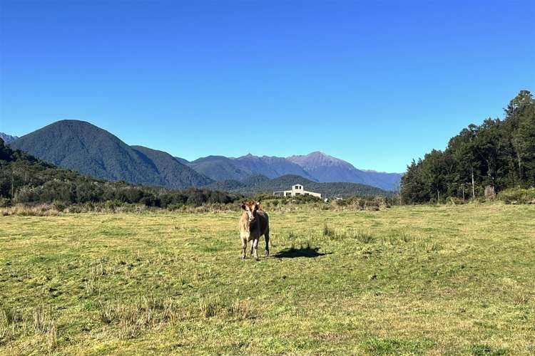 1480 Snowy River Road Ikamatua_12