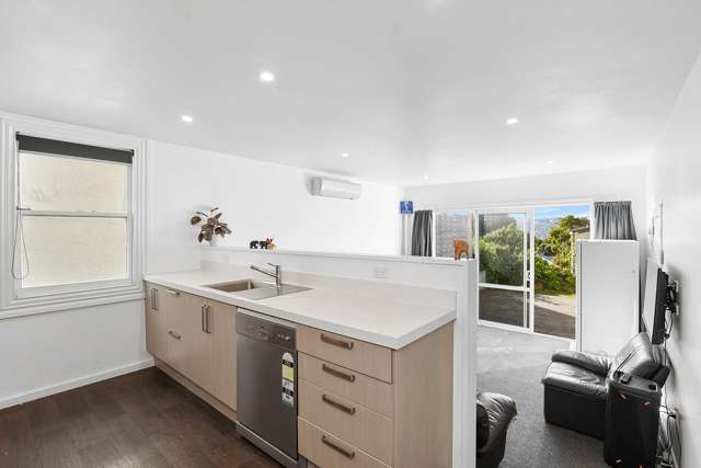 65 Arthur Street Dunedin Central_4