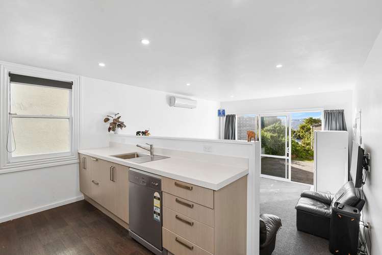 65 Arthur Street Dunedin Central_3