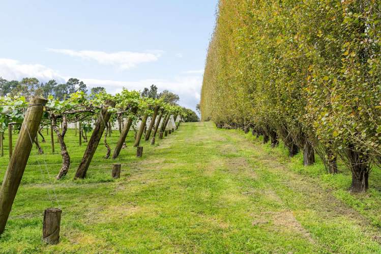 121A No 4 Road Te Puke_10