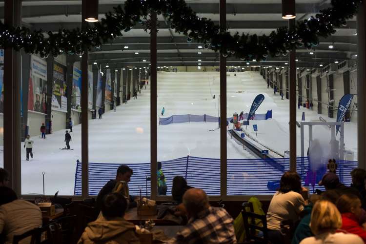 158 Pine Valley Road Dairy Flat_10