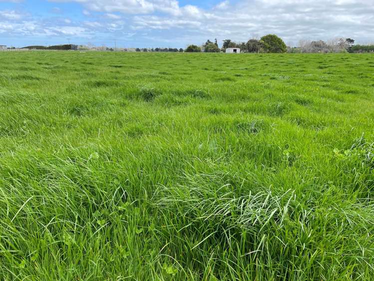 150 Spur Road West Colyton_9