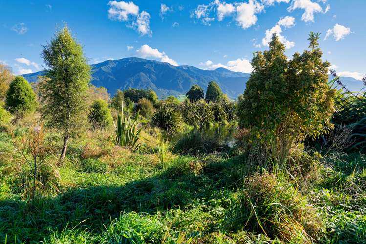 386 Mount Fyffe Road Kaikoura_15