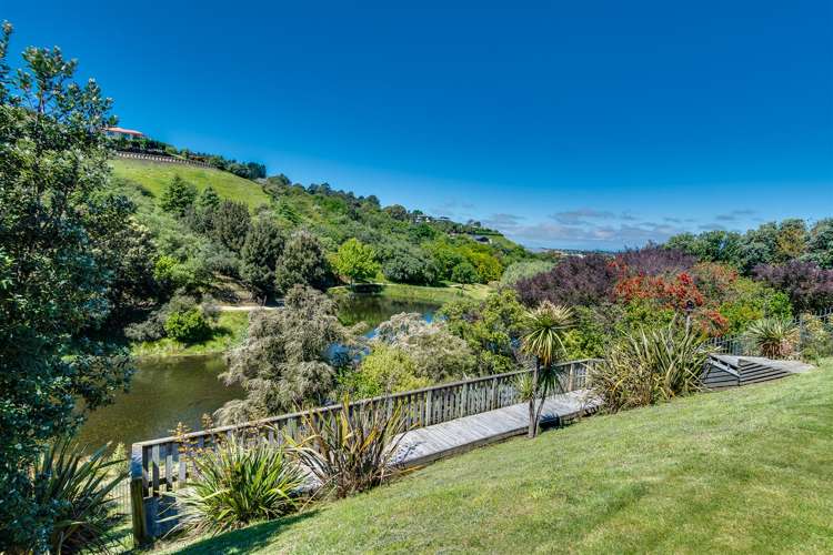 113 Kent Terrace Taradale_5