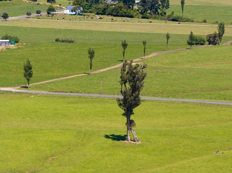 71 Waverley Street Karamea_2