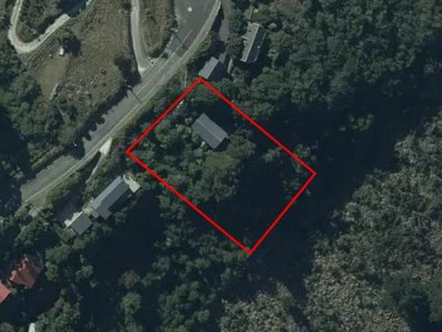 137 Clifton Terrace Clifton_3