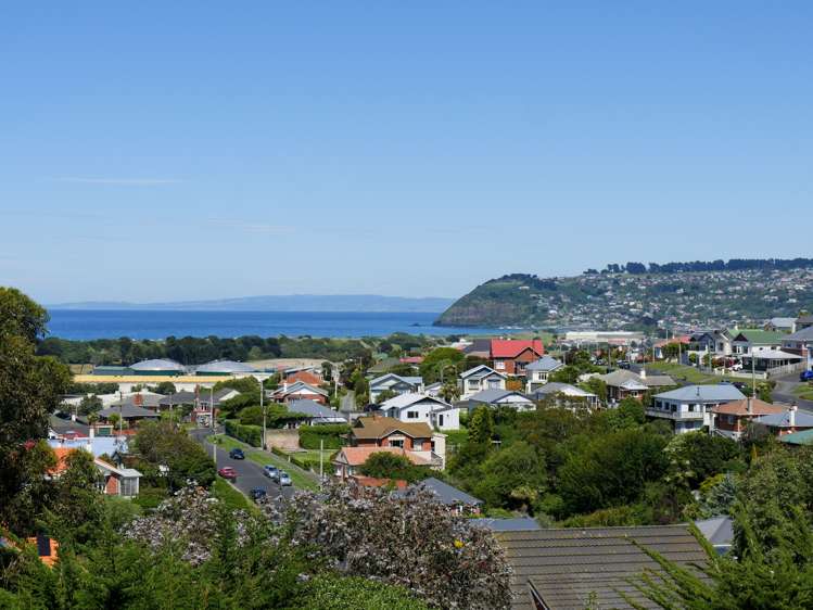 53a Spottiswoode Street Tainui_21