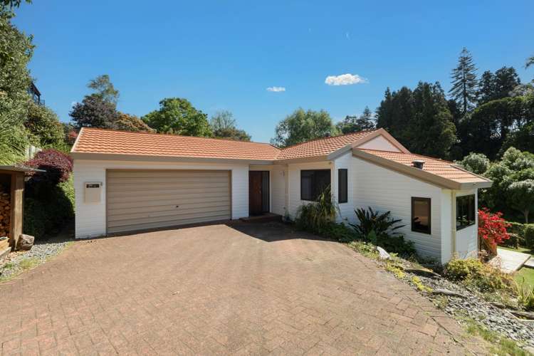 162 Carlton Street Bellevue_13