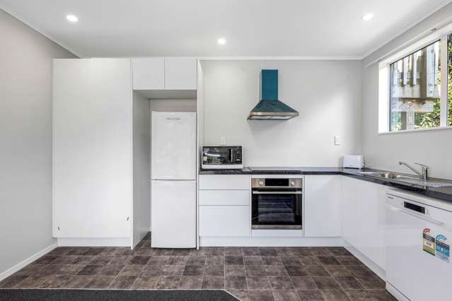 109b Fraser Avenue Johnsonville_4