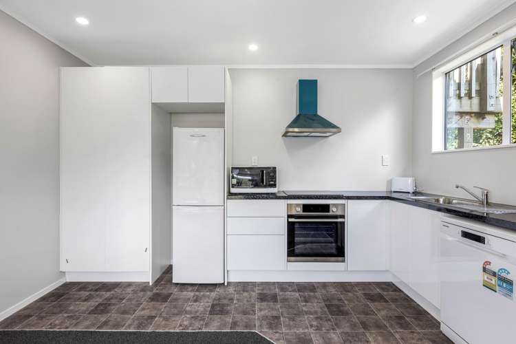 109b Fraser Avenue Johnsonville_3