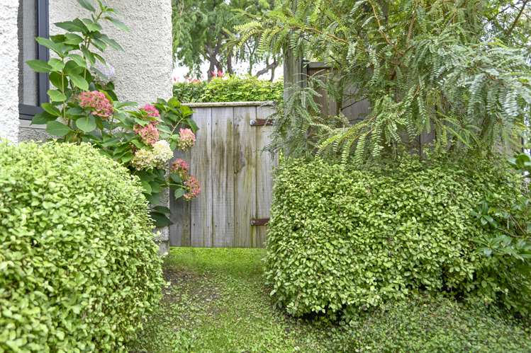 1/1004 Waipuna Street Mahora_13