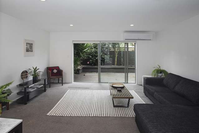 2a Antrim Street Sydenham_1